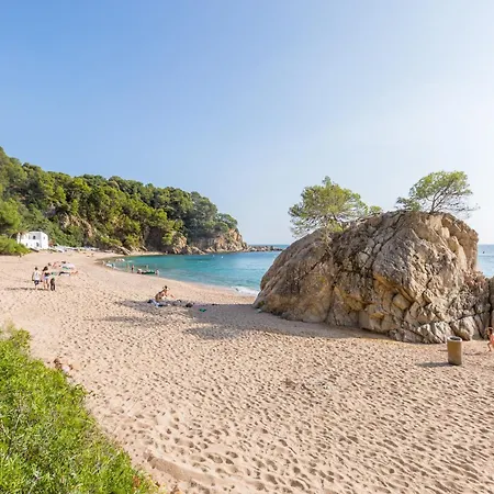 Casta - Vila Lloret de Mar
