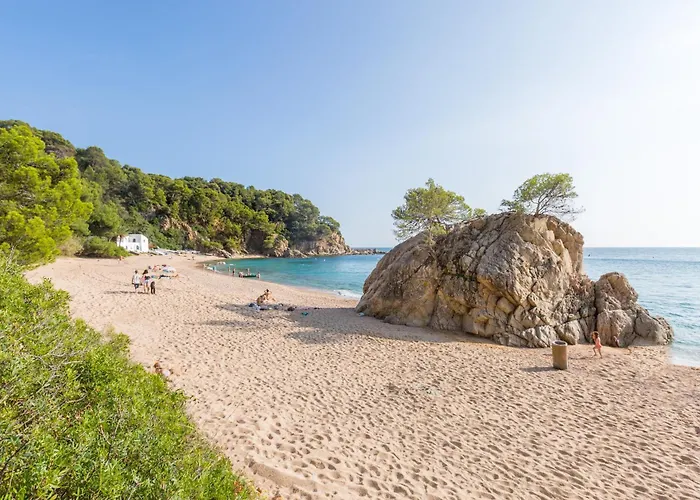 Casta - Villa Lloret de Mar